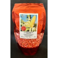 Семена кормовой кукурузы Аквазор ФАО 320, 0,5кг